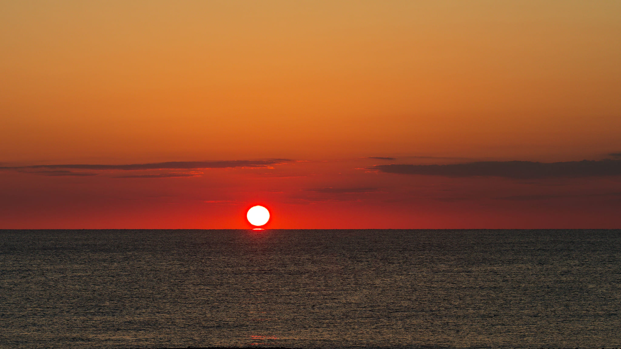 08-Kumano Kodo (15).jpg